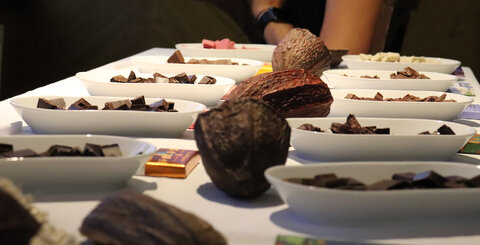 Vítězové International Chocolate Awards 2021/2022