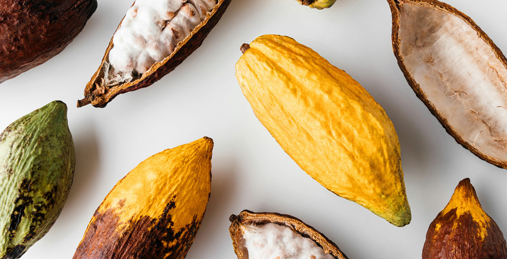 Jak poznat kvalitní čokoládu