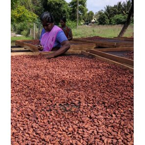 Soklet 60% hořká čokoláda s mátou a boby 50 g